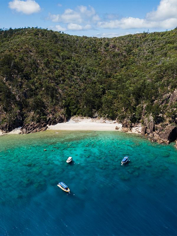 Hook Island The Whitsundays