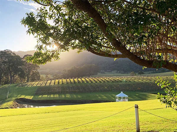 Silos Estate winery