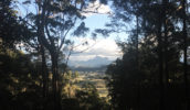 The view of Mount Warning.