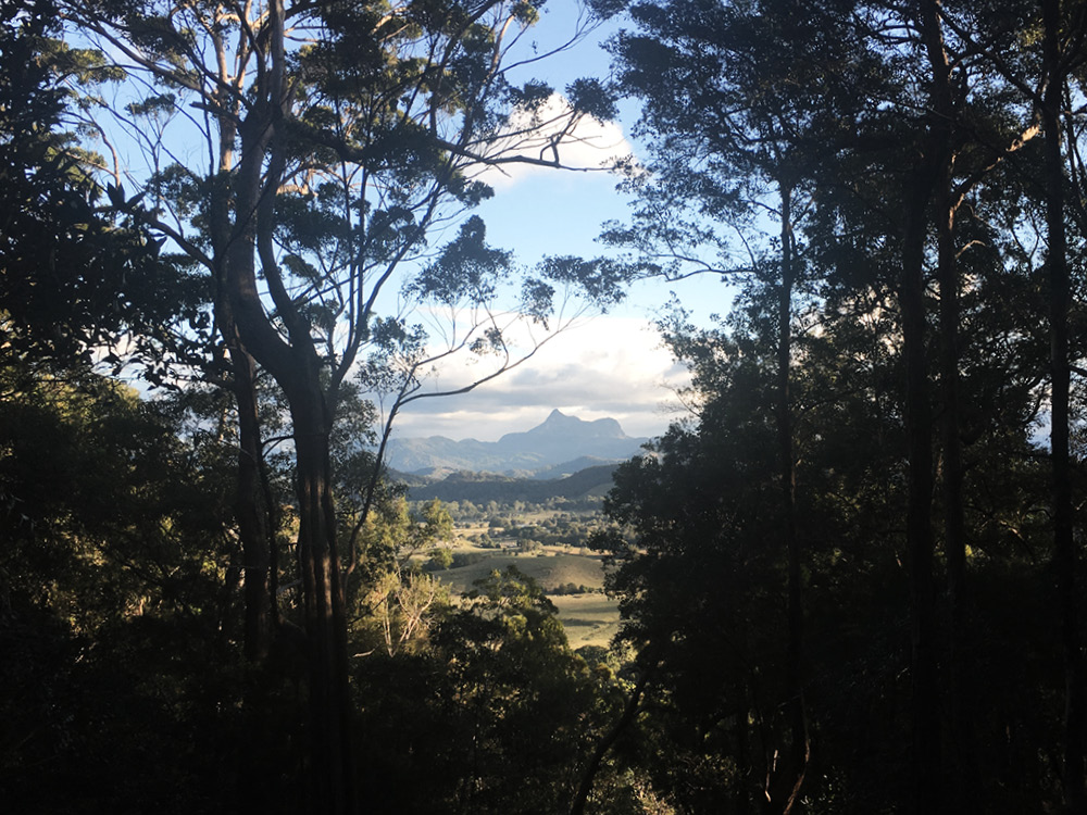 The view of Mount Warning.