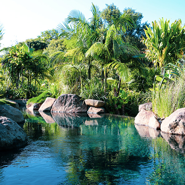 Hidden Valley Guest House, Byron Bay.