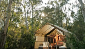 Paperbark Camp in Jervis Bay.