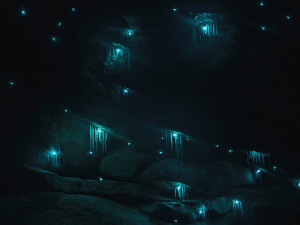Glow Worm Canyon in the Blue Mountains