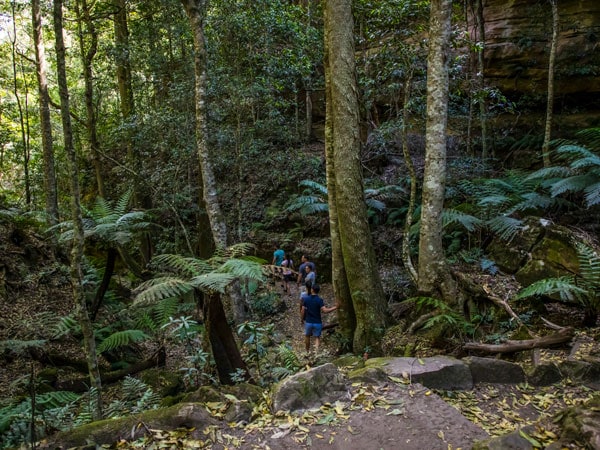 friends exploring the Grand Canyon Walking Track, Blackheath