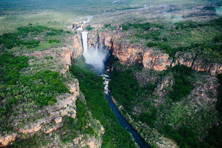 Kakadu: Everything You Need To Know