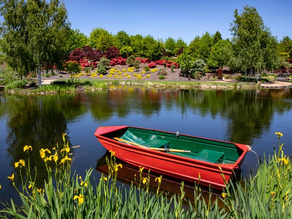 a row boat for visitors to Mayfield Lake during the Spring Festival at Mayfield Garden, Oberon