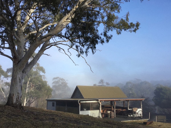 the Megalong Valley Farm in the Blue Mountains