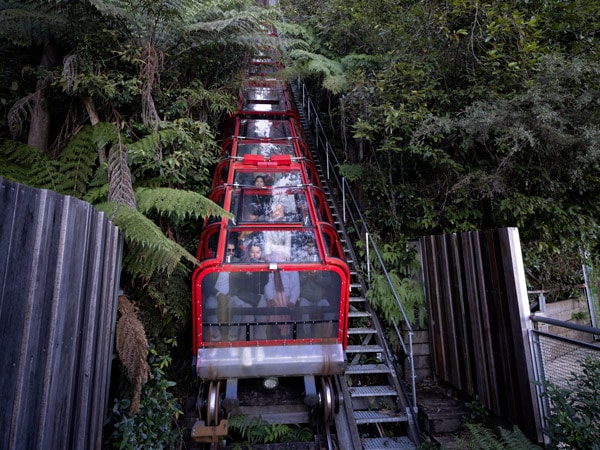 the Scenic World train, Katoomba