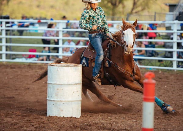 Ord Valley Muster