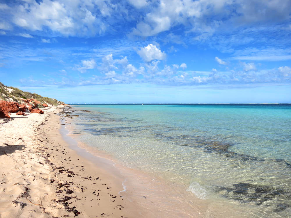 Beach Ningaloo reef