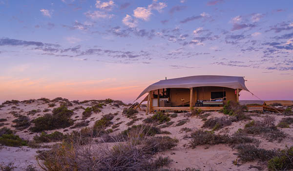 Sal Salis glamping