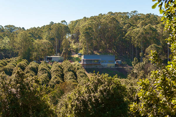 Cape Byron Distillery