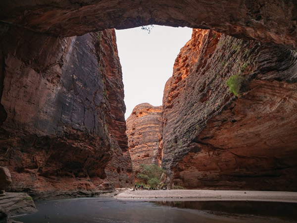 the stunning Cathedral Gorge in within the Bungle Bungle Ranges in Purnululu National Park