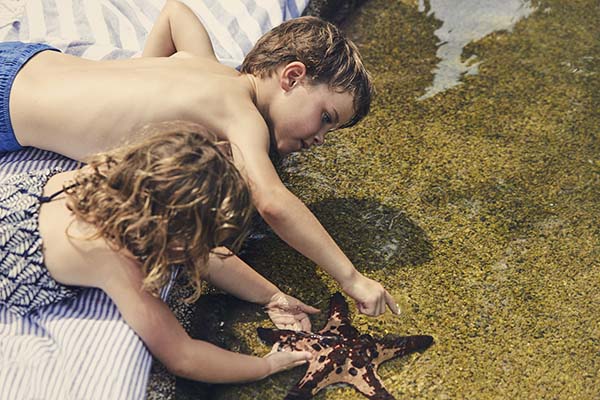 Living reef at Daydream Island resort