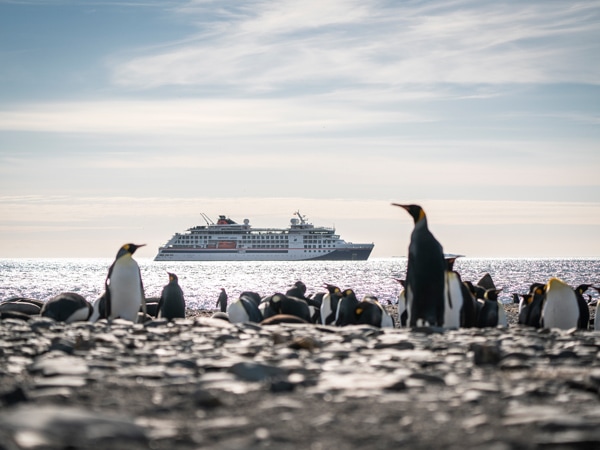 a group of penguins with Hapag-Lloyd Cruises on the background