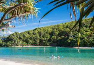 17 things to do in Palm Beach, Queensland