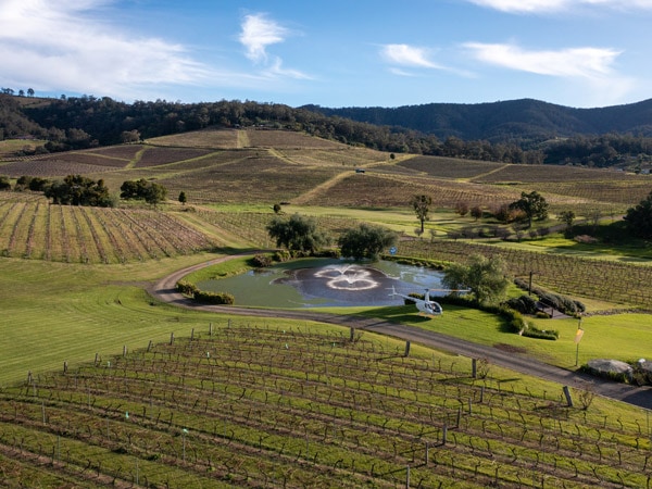 an aerial view of the scenic vineyards surrounding the Hunter Valley region
