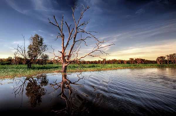 Yellow Water Billabong
