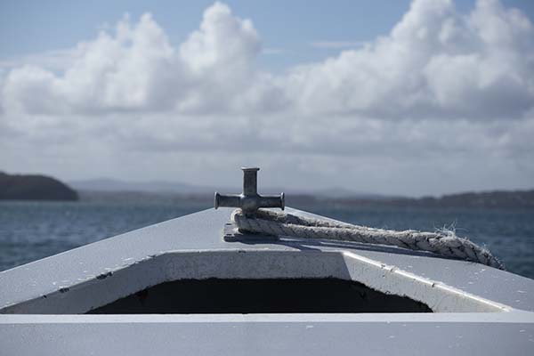 JetBuzz Lake Macquarie