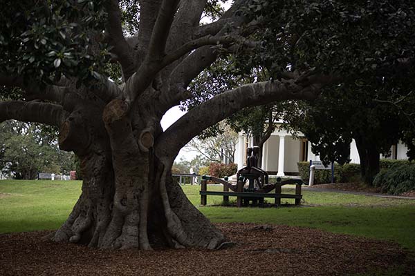 Lake Macquarie City Art Gallery