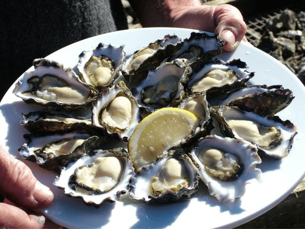 Narooma Oyster Festival