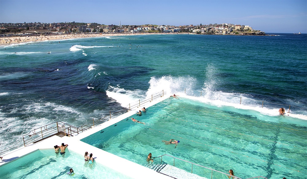 Bondi Icebergs