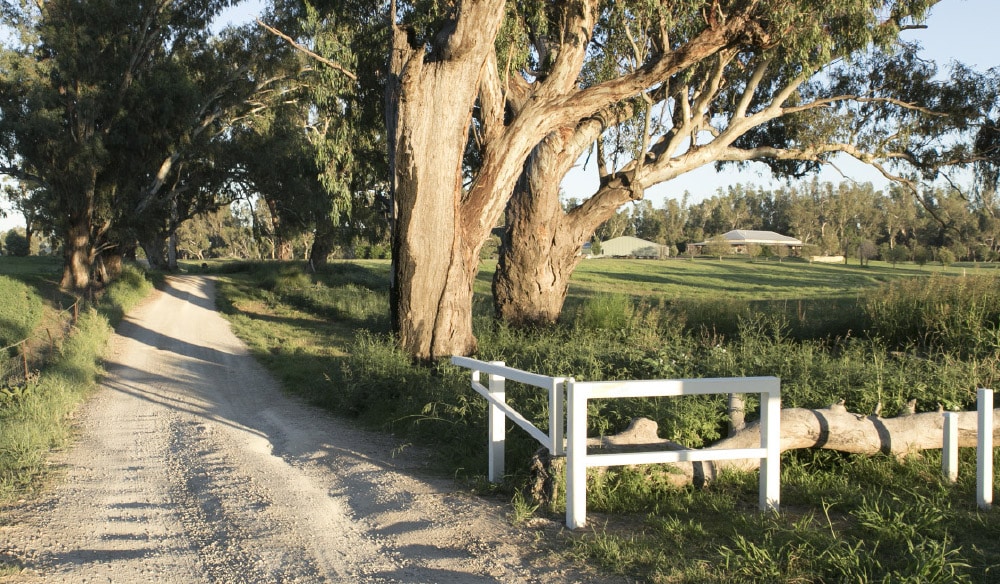 https://s1.at.atcdn.net/wp-content/uploads/2019/04/A-quiet-country-lane-in-Dubbo.jpg