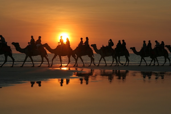 Camel ride Broome Cable Beach
