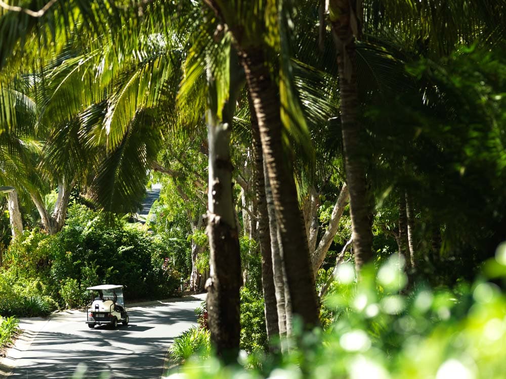 Golf Buggy Hamilton Island