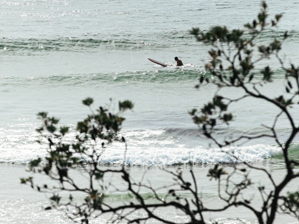 Cupitt's Estate is near to great beaches on the NSW South Coast