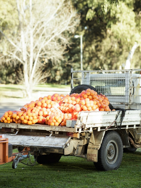 Pick up some fresh fruit at the Dubbo farmers market