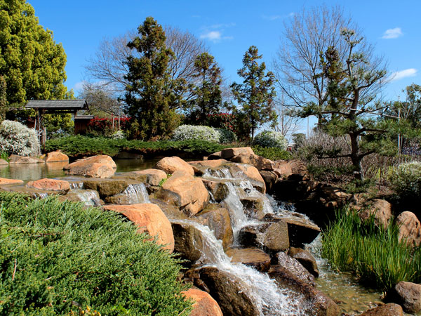 mini waterfalls within lush greenery at Dubbo Regional Botanic Gardens