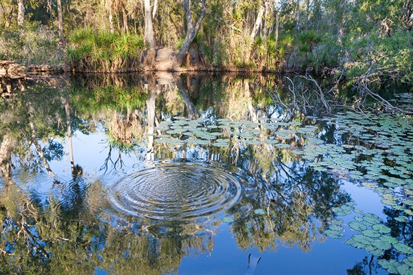 Bitter Springs
