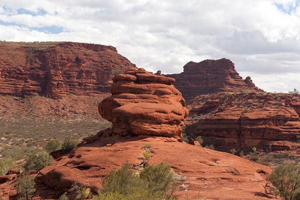 Palm Valley at Finke Gorge National Park