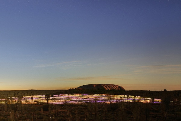 Uluru Field of Light