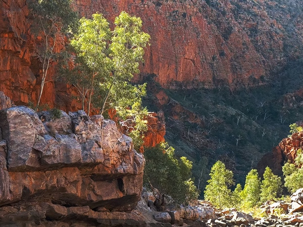 Ormiston Gorge