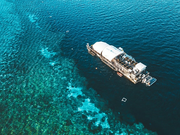 Aerial view of pontoon at Hardy Reef