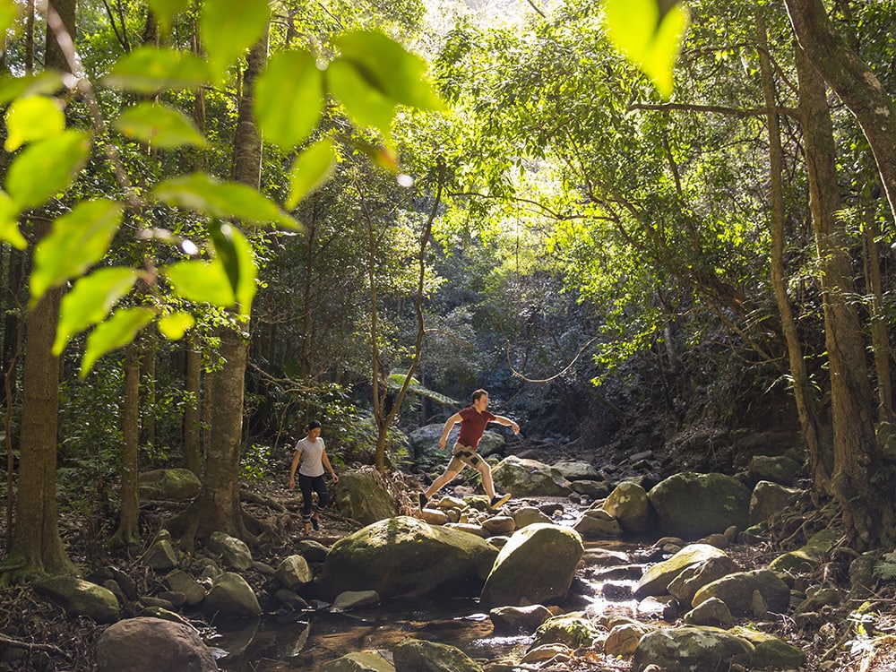 The Top Nature Experiences in Shellharbour, NSW