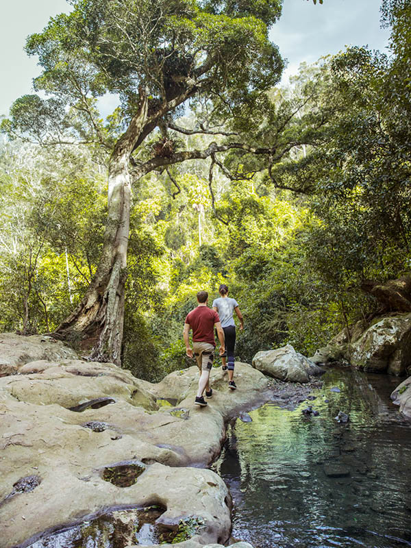 Hikers in Macquarie Pass National Park