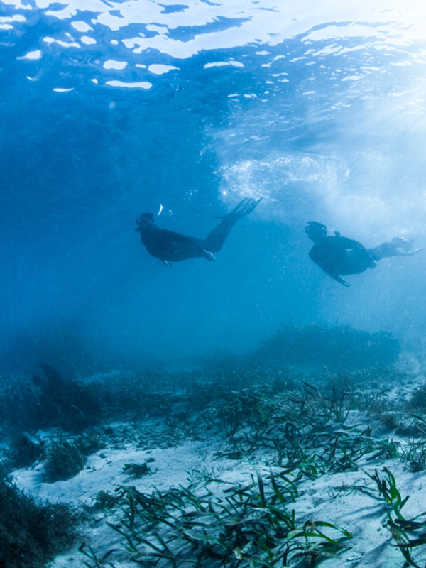 Two people snorkelling close to seabed