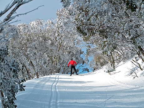 Perisher skiing