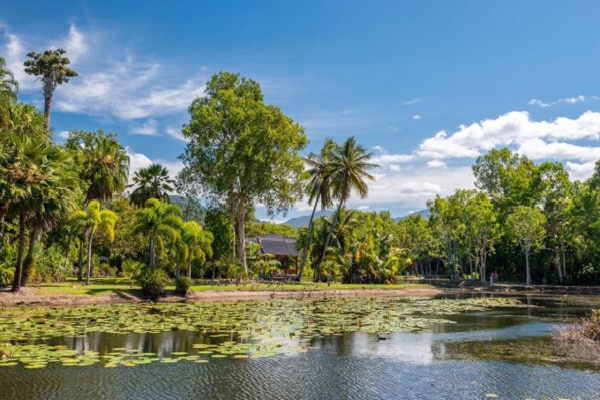 Cairns Botanic gardens