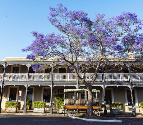 Grafton, Clarence Valley