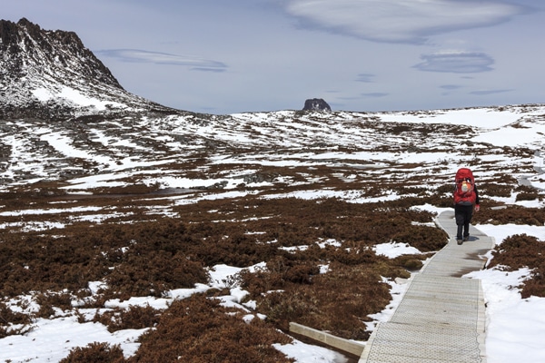 The Tasmanian Overland Track