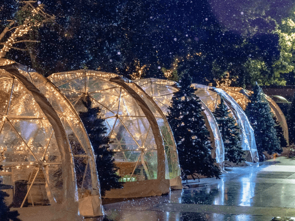 The Winter Village
