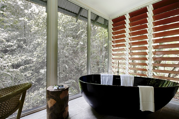 Daintree Ecolodge Rainforest Bayan