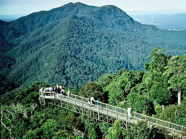 4bird watching in Dorigo National Park