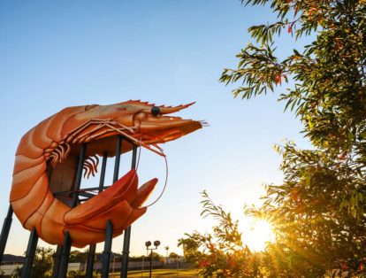 Australia's Big Prawn