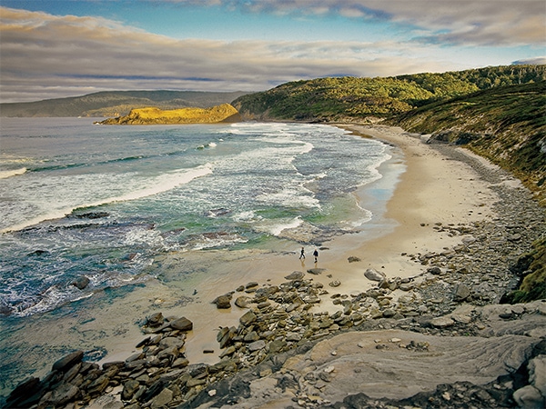 Cockle creek