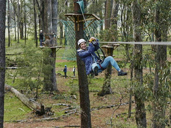 Forest Adventure Busselton